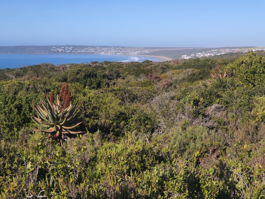 0 Bedroom Property for Sale in Boggomsbaai Western Cape